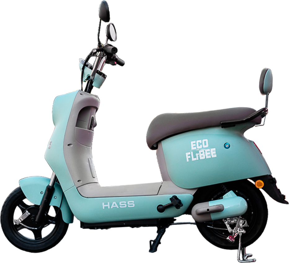 Hass  Eco FLYBEE 